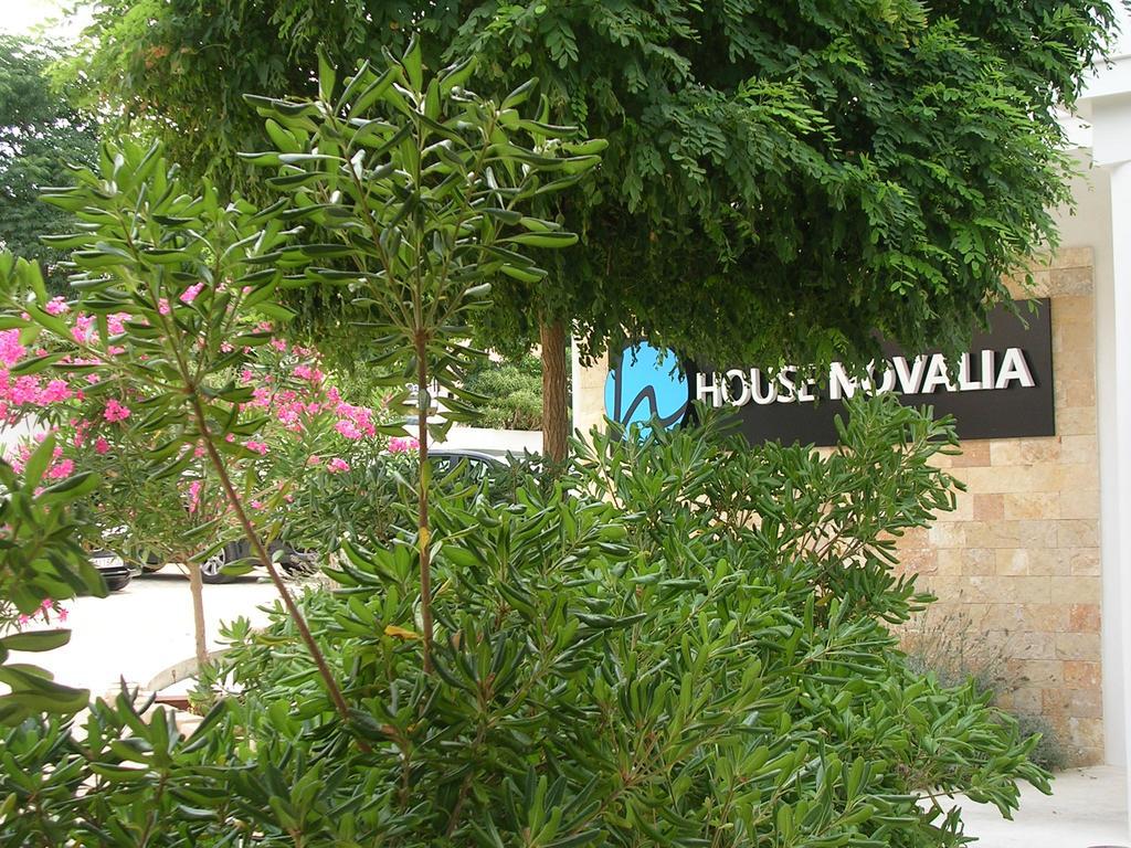 House Novalia Otel Novalja Dış mekan fotoğraf